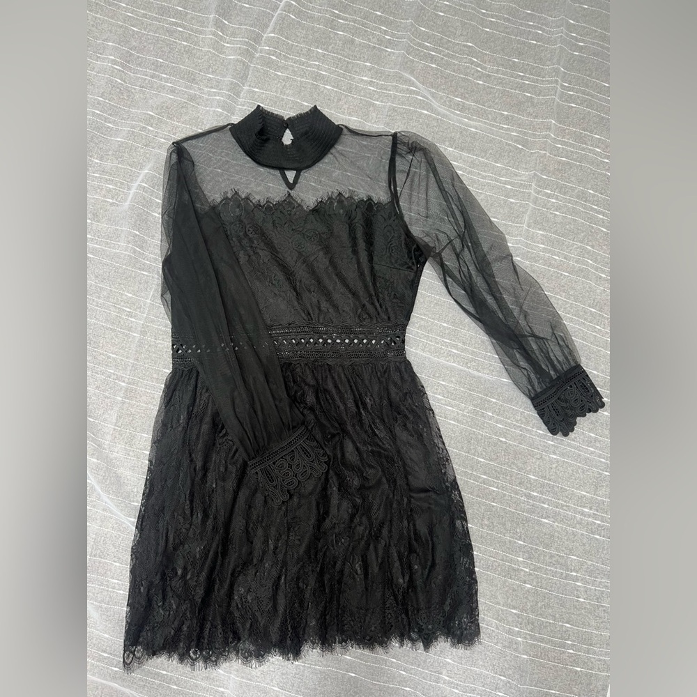 Endless Rose Black Sheer Lace Dress